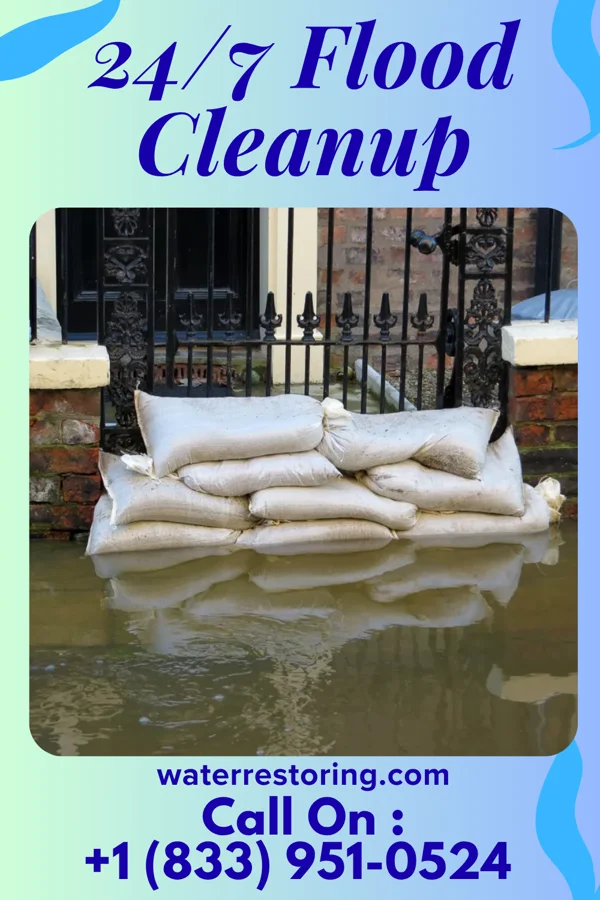 24/7 Flood Cleanup in New California, OH