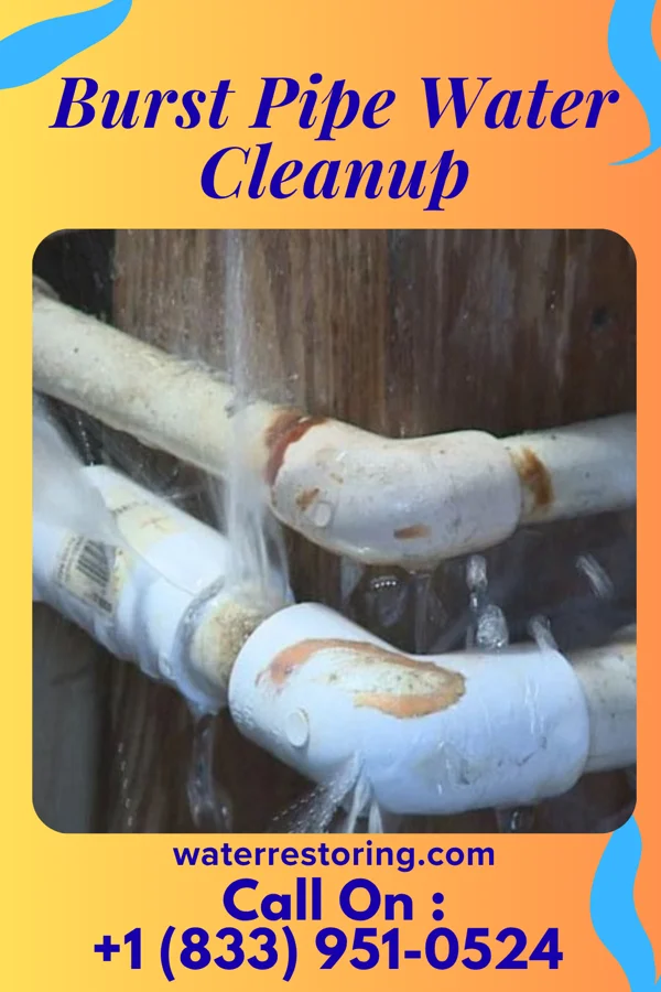 Burst Pipe Water Cleanup in New California, OH