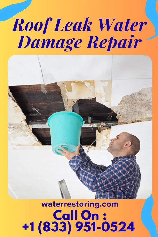 Roof Leak Water Damage Repair in New California, OH