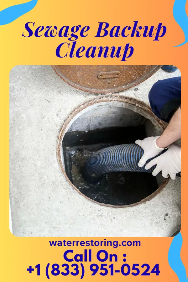Sewage Backup Cleanup in New California, OH